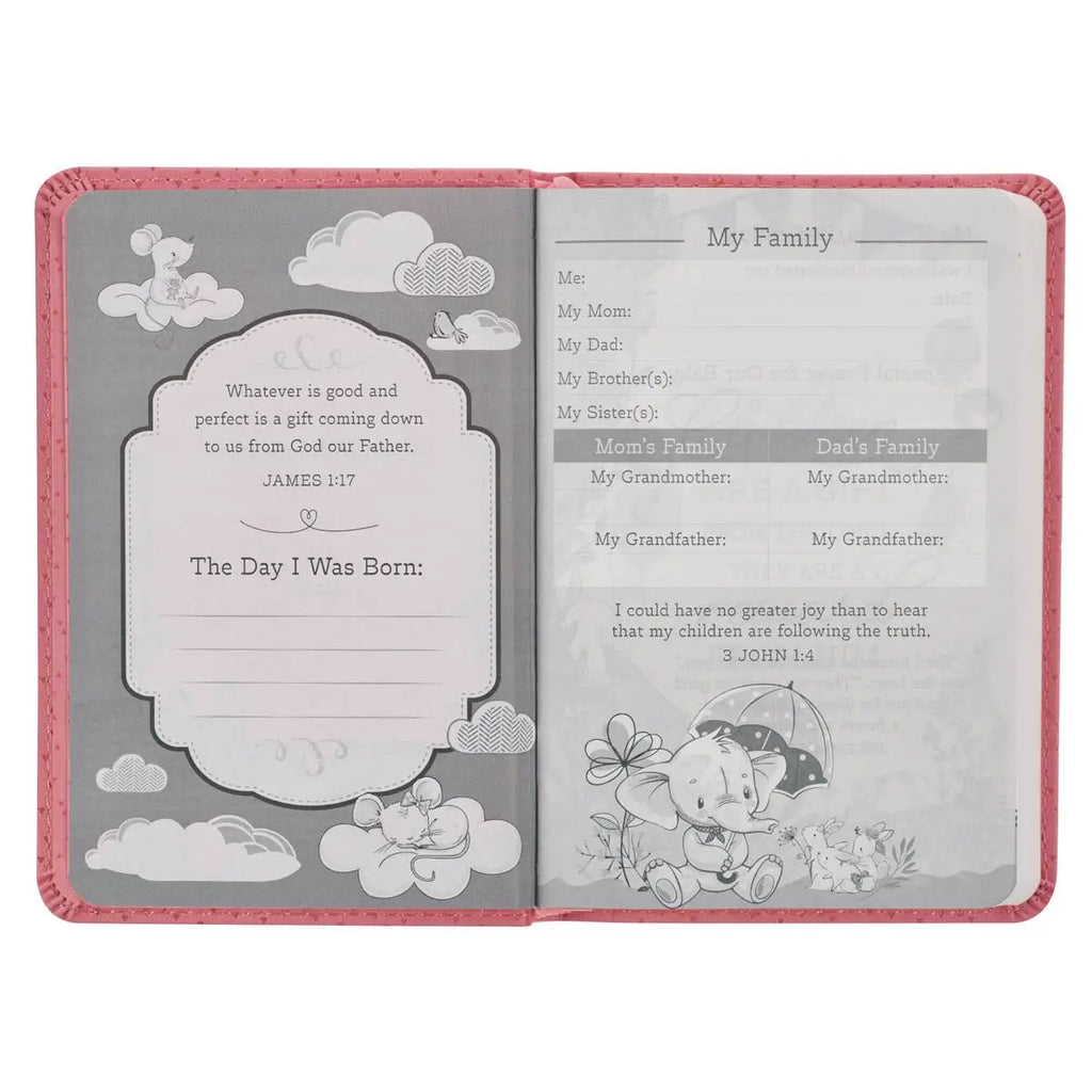 New Testament Pink Bible