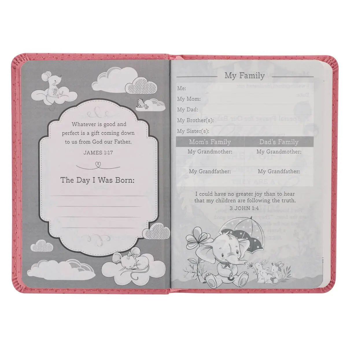 New Testament Pink Bible
