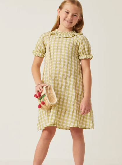 Light Green Gingham Dot Bibbed Dress