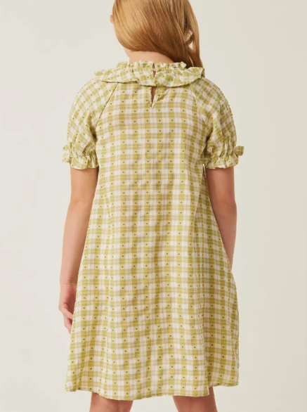 Light Green Gingham Dot Bibbed Dress
