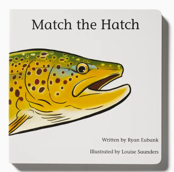 Match The Hatch Children's Book