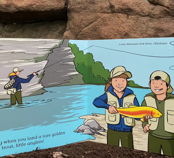 Match The Hatch Children's Book