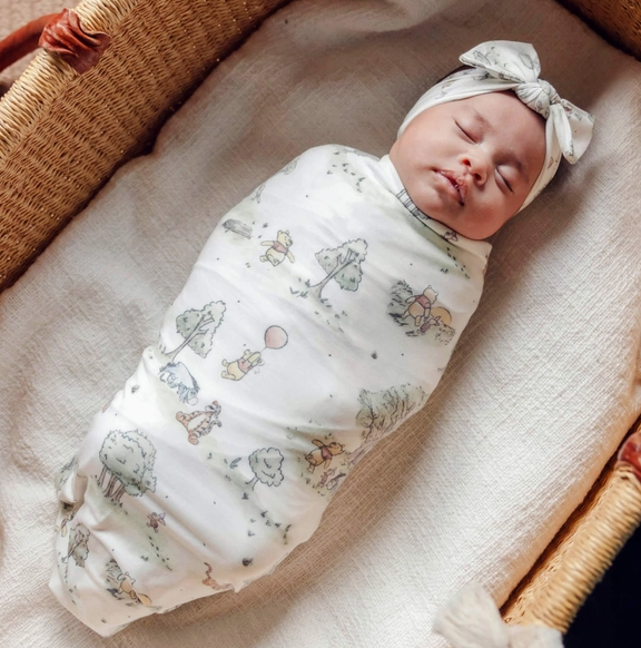 Disney Hundred-Acre Wood Swaddle