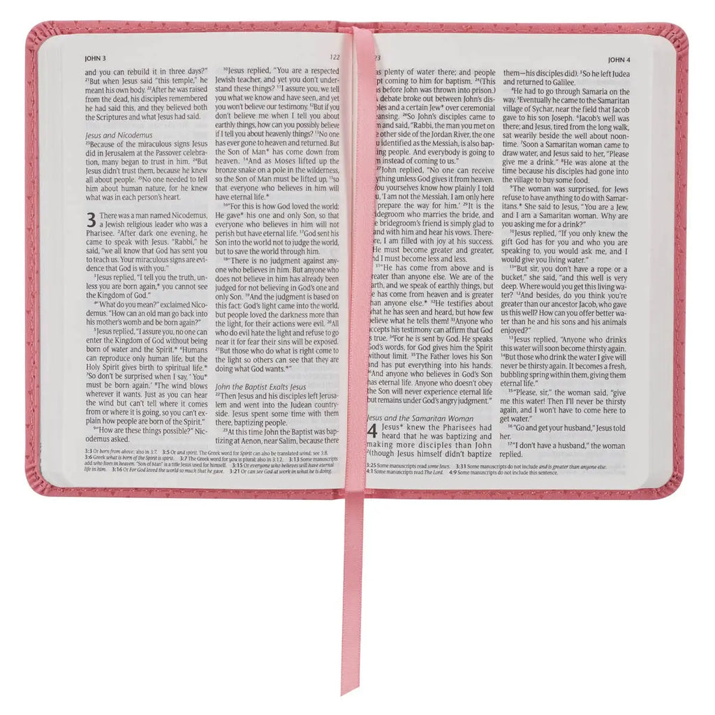 New Testament Pink Bible